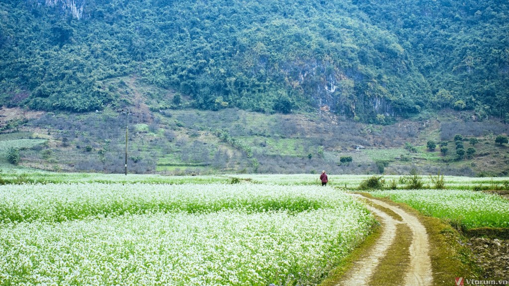 Mộc Châu - Mai Châu