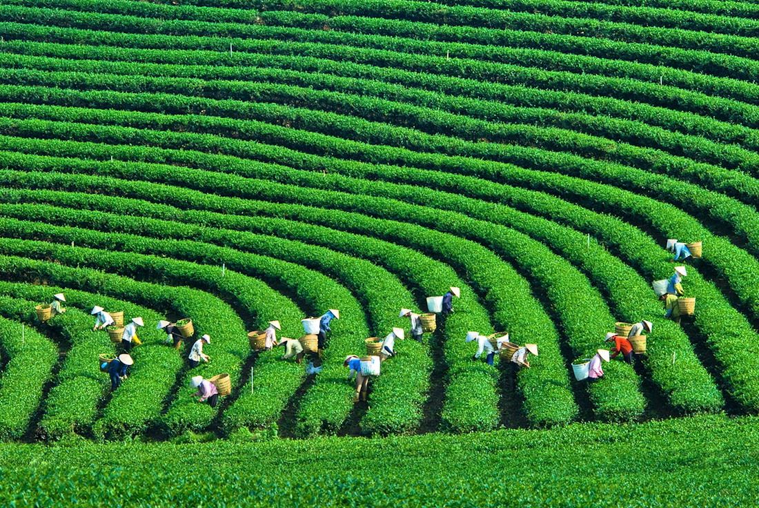 Mộc Châu - Mai Châu