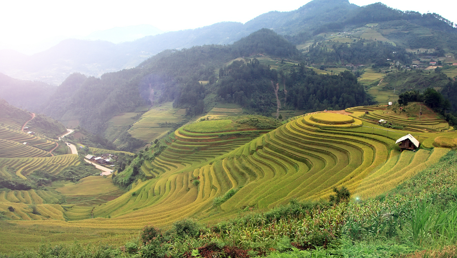 Mù Cang Chải mùa lúa chín