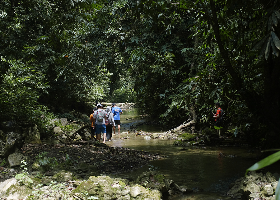 Hiking rừng Pù Luông