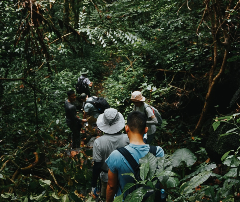Trekking rừng Cúc Phương